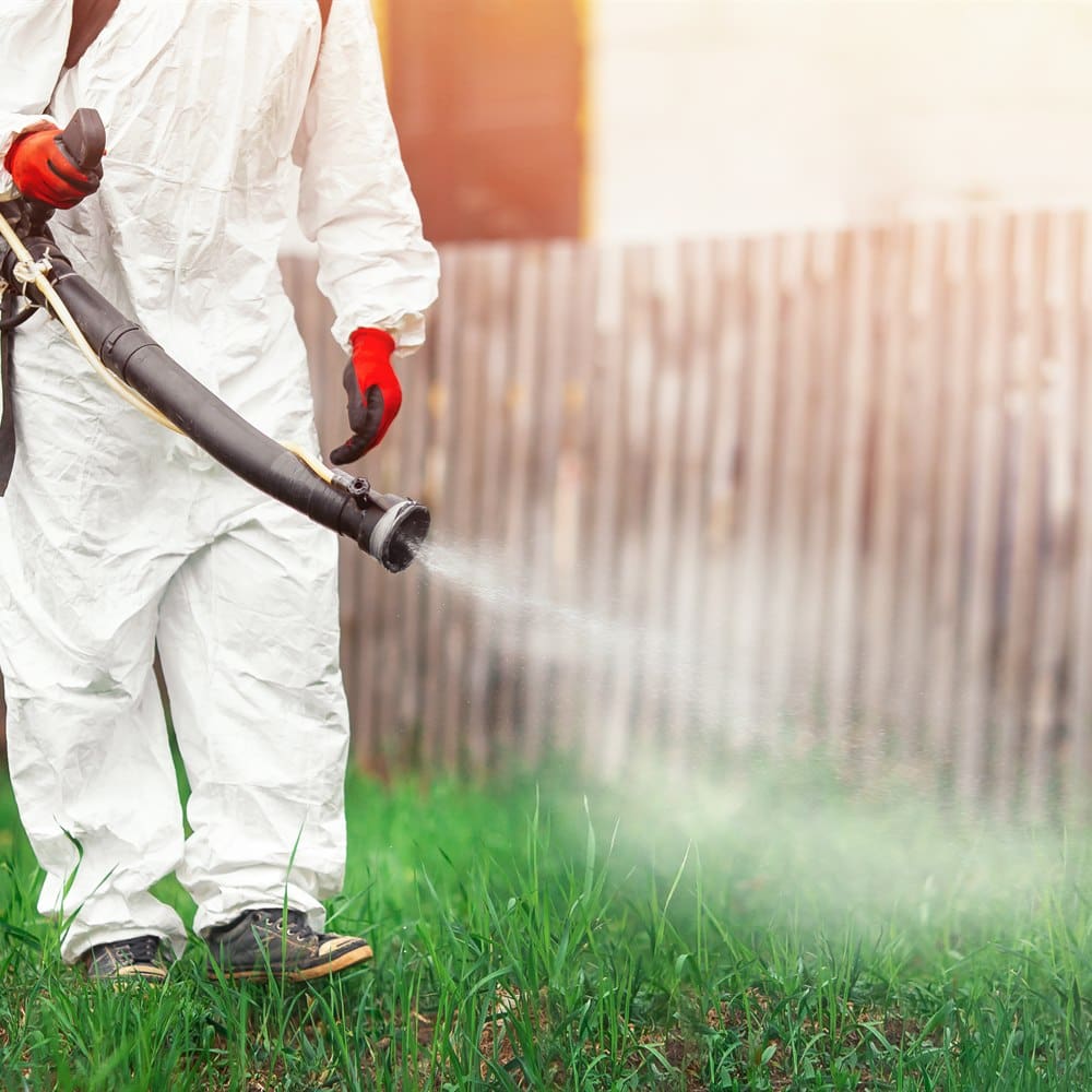 fogging-a-yard-for-mosquitoes Fogging a yard for mosquitoes