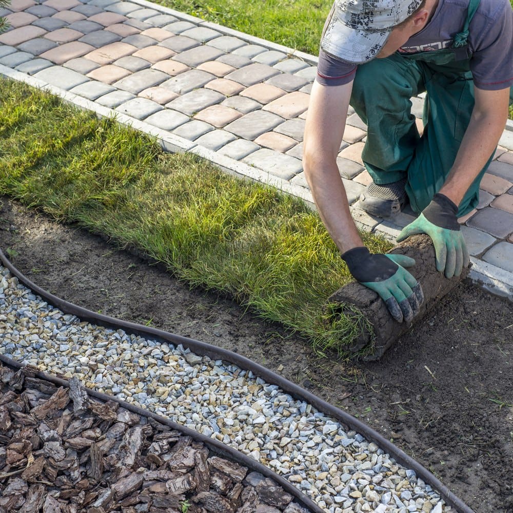 Laying sod beside a paver path