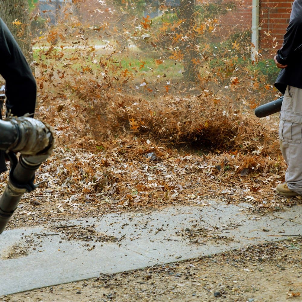 Leaf removal with backpack blowers during autumn