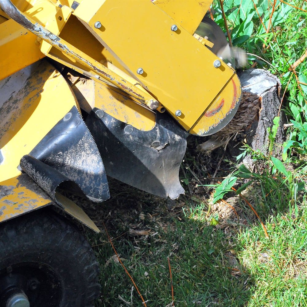 Powerful stump grinder working in a rural setting