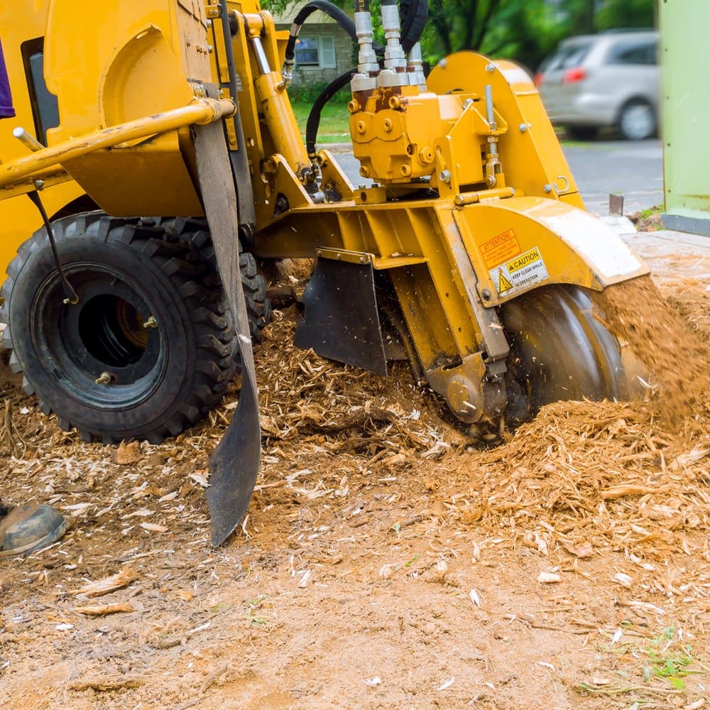 Stump grinder at work in a suburban setting